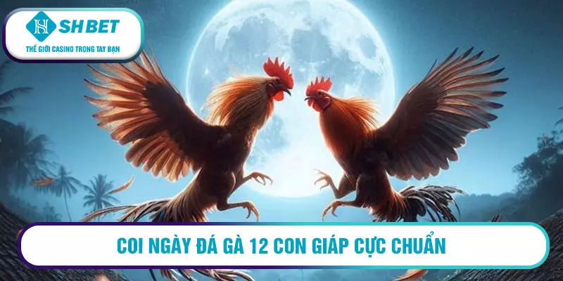 Coi ngày đá gà 12 con giáp cực chuẩn